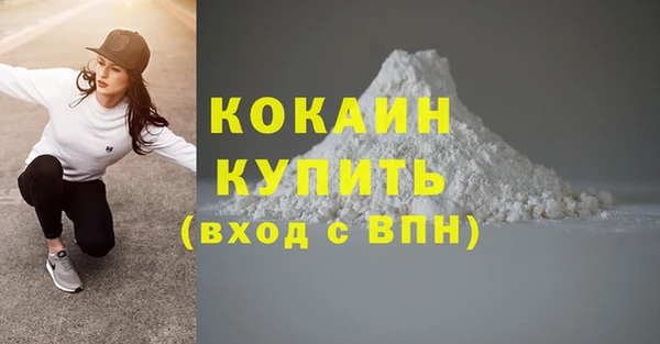 шишки Краснослободск