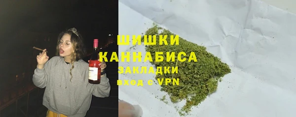 шишки Краснослободск