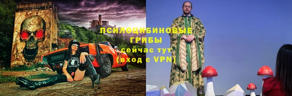 прущий лед Ладушкин