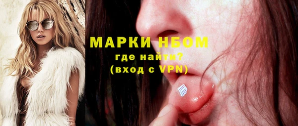 шишки Краснослободск