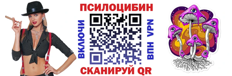 Псилоцибиновые грибы Cubensis  сайты даркнета как зайти  Кудымкар 