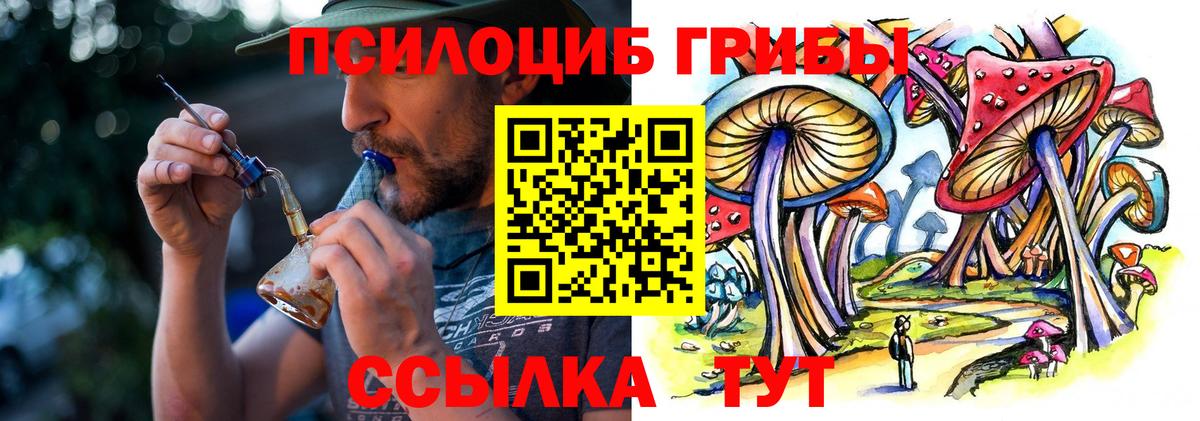 Псилоцибиновые грибы Magic Shrooms Кудымкар